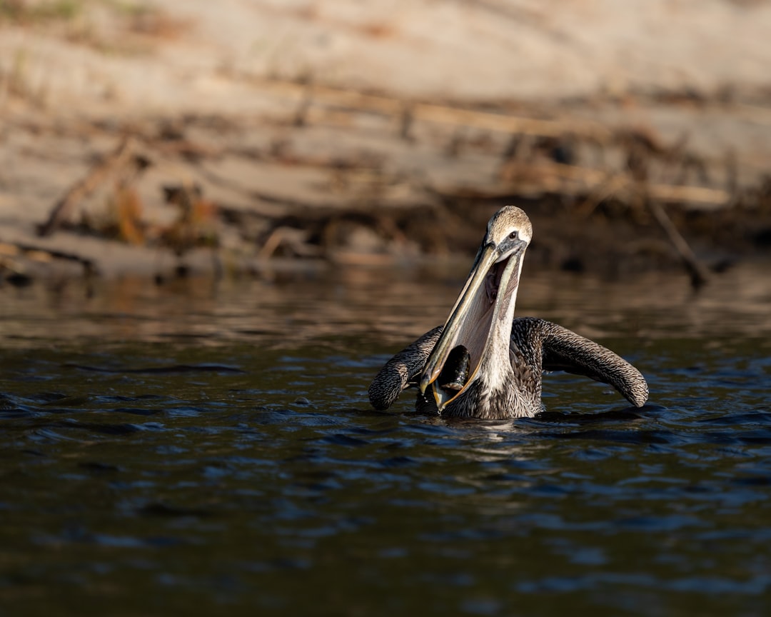 Weather monitoring equipment